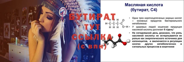 МДПВ Бородино