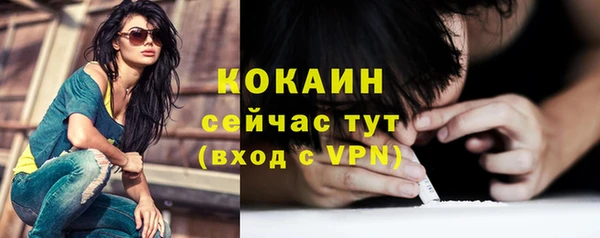тгк Бронницы