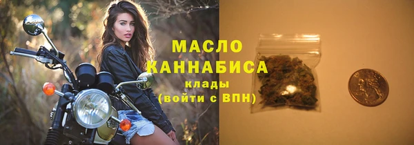 МДПВ Бородино