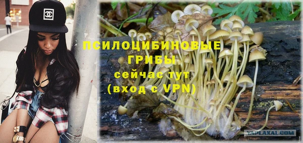 Альфа ПВП Бугульма