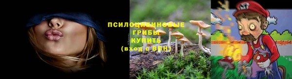 МДПВ Бородино