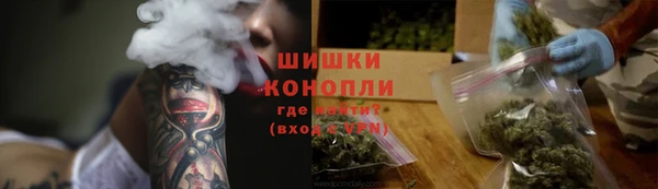 МДПВ Бородино