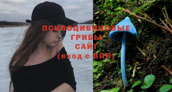 прущий лед Покровск