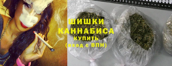 МДПВ Бородино