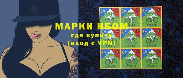 МДПВ Бородино