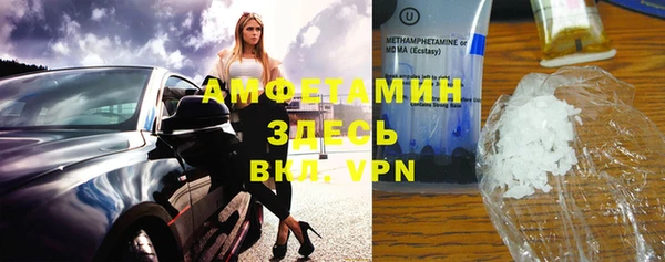 МДПВ Бородино