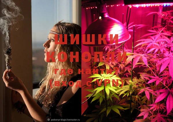 тгк Бронницы