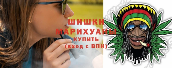 МДПВ Бородино
