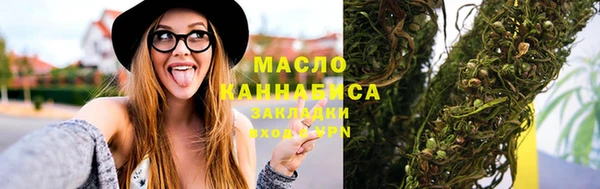 МДПВ Бородино