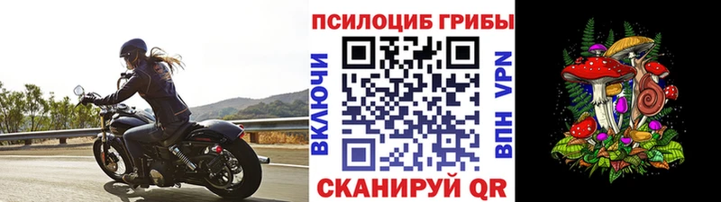 что такое наркотик  Константиновск  Псилоцибиновые грибы мухоморы 